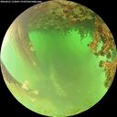 ./images/calvert/underwater/20260621/underwater20260621_113001M.jpg