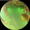 ./images/calvert/underwater/20260621/underwater20260621_114001M.jpg