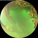 ./images/calvert/underwater/20260621/underwater20260621_114502M.jpg