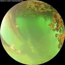 ./images/calvert/underwater/20260621/underwater20260621_115001M.jpg