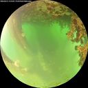 ./images/calvert/underwater/20260621/underwater20260621_115501M.jpg