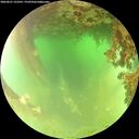 ./images/calvert/underwater/20260621/underwater20260621_123501M.jpg