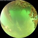 ./images/calvert/underwater/20260621/underwater20260621_124001M.jpg