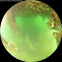 ./images/calvert/underwater/20260621/underwater20260621_125001M.jpg