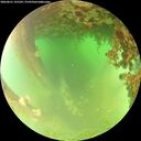 ./images/calvert/underwater/20260621/underwater20260621_125501M.jpg