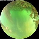 ./images/calvert/underwater/20260621/underwater20260621_130501M.jpg