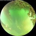 ./images/calvert/underwater/20260621/underwater20260621_131501M.jpg