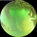 ./images/calvert/underwater/20260621/underwater20260621_132001M.jpg