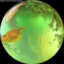 ./images/calvert/underwater/20260621/underwater20260621_132502M.jpg