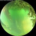 ./images/calvert/underwater/20260621/underwater20260621_133001M.jpg