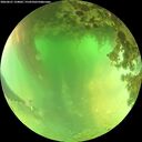 ./images/calvert/underwater/20260621/underwater20260621_134001M.jpg