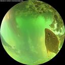 ./images/calvert/underwater/20260621/underwater20260621_134502M.jpg