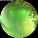 ./images/calvert/underwater/20260621/underwater20260621_135501M.jpg