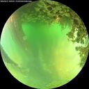 ./images/calvert/underwater/20260621/underwater20260621_140501M.jpg