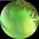 ./images/calvert/underwater/20260621/underwater20260621_141002M.jpg