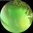 ./images/calvert/underwater/20260621/underwater20260621_141501M.jpg