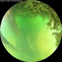 ./images/calvert/underwater/20260621/underwater20260621_142001M.jpg