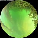 ./images/calvert/underwater/20260621/underwater20260621_142501M.jpg