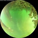 ./images/calvert/underwater/20260621/underwater20260621_143001M.jpg