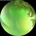 ./images/calvert/underwater/20260621/underwater20260621_144001M.jpg