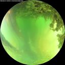 ./images/calvert/underwater/20260621/underwater20260621_144501M.jpg