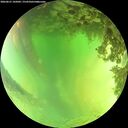./images/calvert/underwater/20260621/underwater20260621_145001M.jpg