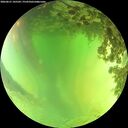 ./images/calvert/underwater/20260621/underwater20260621_145501M.jpg