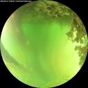 ./images/calvert/underwater/20260621/underwater20260621_150001M.jpg