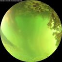 ./images/calvert/underwater/20260621/underwater20260621_150501M.jpg