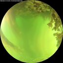 ./images/calvert/underwater/20260621/underwater20260621_151501M.jpg