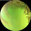 ./images/calvert/underwater/20260621/underwater20260621_152001M.jpg