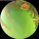 ./images/calvert/underwater/20260621/underwater20260621_152502M.jpg
