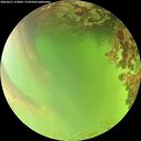 ./images/calvert/underwater/20260621/underwater20260621_153001M.jpg