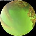 ./images/calvert/underwater/20260621/underwater20260621_154501M.jpg