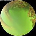 ./images/calvert/underwater/20260621/underwater20260621_155002M.jpg