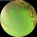 ./images/calvert/underwater/20260621/underwater20260621_155501M.jpg