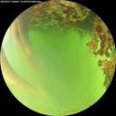 ./images/calvert/underwater/20260621/underwater20260621_160001M.jpg