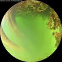 ./images/calvert/underwater/20260621/underwater20260621_160501M.jpg