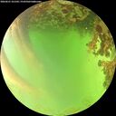 ./images/calvert/underwater/20260621/underwater20260621_161502M.jpg