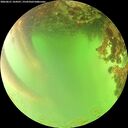 ./images/calvert/underwater/20260621/underwater20260621_164501M.jpg