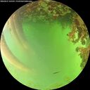 ./images/calvert/underwater/20260621/underwater20260621_165501M.jpg