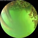 ./images/calvert/underwater/20260621/underwater20260621_170002M.jpg