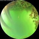 ./images/calvert/underwater/20260621/underwater20260621_170501M.jpg