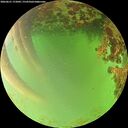 ./images/calvert/underwater/20260621/underwater20260621_172002M.jpg