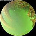 ./images/calvert/underwater/20260621/underwater20260621_174001M.jpg