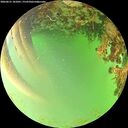 ./images/calvert/underwater/20260621/underwater20260621_181001M.jpg