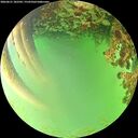 ./images/calvert/underwater/20260621/underwater20260621_182501M.jpg