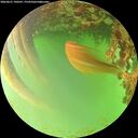 ./images/calvert/underwater/20260621/underwater20260621_190501M.jpg