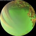 ./images/calvert/underwater/20260621/underwater20260621_191001M.jpg