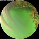 ./images/calvert/underwater/20260621/underwater20260621_191501M.jpg